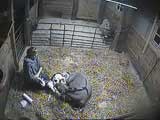 Barn Cam Image